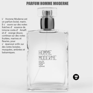 Parfum homme moderne 100ml